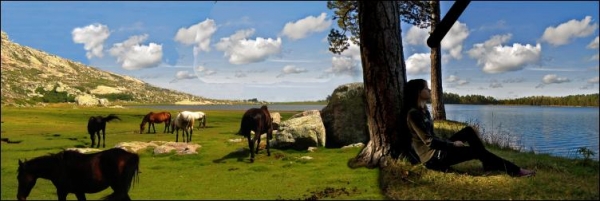 Creation of wild horses: Step 3